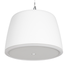 RCF PMR 60T 2-Way Pendant Monitor Speaker (White)