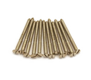 Gretsch Guitars FILTER'TRON Pickup Mounting Screw (Nickel) - 12pc