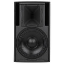 RCF C 3110-126 Conférencier passif bidirectionnel - 10 "