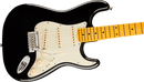 Fender AMERICAN PROFESSIONAL Electric Guitar (Black)