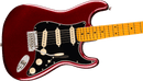 Fender AMERICAN PROFESSIONAL Electric Guitar (Oxblood)