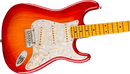Fender AMERICAN PROFESSIONAL Electric Guitar (Aged Cherry Burst)