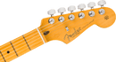 Fender AMERICAN PROFESSIONAL Electric Guitar (Dark Night)