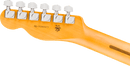 Fender AMERICAN PROFESSIONAL Electric Guitar (Natural)