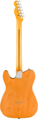 Fender AMERICAN PROFESSIONAL Electric Guitar (Natural)