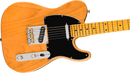 Fender AMERICAN PROFESSIONAL Electric Guitar (Natural)