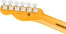Fender AMERICAN PROFESSIONAL Electric Guitar (Natural)