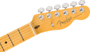 Fender AMERICAN PROFESSIONAL Electric Gutiar (Oxblood)