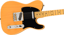 Fender AMERICAN PROFESSIONAL Electric Guitar (Butterscotch Blonde)