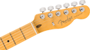 Fender AMERICAN PROFESSIONAL Electric Guitar (Butterscotch Blonde)