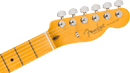 Fender AMERICAN PROFESSIONAL Electric Guitar (Aged Cherry Burst)