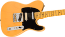 Fender AMERICAN PROFESSIONAL Electric Guitar (Butterscotch Blonde)