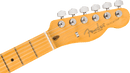 Fender AMERICAN PROFESSIONAL Electric Guitar (Butterscotch Blonde)