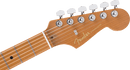 Guitare électrique Fender AMERICAN ULTRA II Limited Edition (Natural)