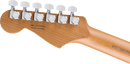 Fender AMERICAN ULTRA II Limited Edition Electric Guitar (Natural)