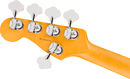 Basse électrique 5 cordes Fender AMERICAN PROFESSIONAL JAZZBASS V (Olympic White)
