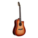 Guitare acoustique Seagull 053971 Peppino D'Agostino 30e anniversaire LTD
