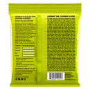 Ernie Ball 2251EB Classe Regular Slinky Classic Rock N Roll Pure Nickel Wrap Regular Slinky Cordes de guitare 010 - 046