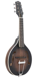 Mandoline-guitare A-6 style A couleur or (teinte satinée sunburst tabac)