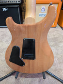 Guitare électrique PRS SE CUSTOM 24 (Slate Blue) (DÉMO)