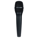 DPA Microphones 2028 Vocal Supercardioid Handheld Microphone (Black)