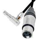 Kondor Blue KB-5PLEMO 5-Pin LEMO To 3-Pin XLR Audio Cable For Cine Cameras - 11in