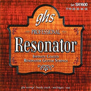 Cordes de guitare slide acoustique Ghs 1600