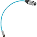 Kondor Blue KB-MXLR-16 Mini-XLR Male to XLR Female Audio Cable (Blue) - 16in