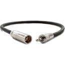 Kondor Blue KB-MINIPLUGWSCREW-BK Male To Locking 3.5mm Stereo Cable (Black)