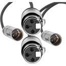 Kondor Blue KB-MXLRM-F16-BK Mini-XLR Male To XLR Female Audio Cable (Black) - 2-Pack