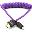 Kondor Blue KB-MC-FHDMI-12-P Gerald Undone Braided Coiled High-Speed Micro-HDMI To HDMI Cable (Purple) - 12in To 24in