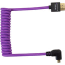 Kondor Blue KB-MC-FHDMI12R-P Gerald Undone Braided Coiled High-Speed Right-Angle Micro-HDMI To HDMI Cable For Canon R5 And R6 Cameras (Purple) - 12in To 24in