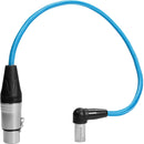 Kondor Blue KB-MNXLR-RA17 Right-Angle Mini-XLR Male To XLR Female Cable (Blue) - 17in