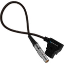 Kondor Blue KB-DTAP-FLEMO2P-S-BK D-Tap To Straight 2-Pin LEMO-Type Power Cable For RED KOMODO - 10in