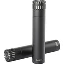 DPA Microphones ST2015 Microphone à condensateur large cardioïde compact (paire stéréo)