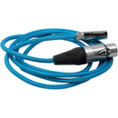 Kondor Blue KB-MINIXLR3F Mini-XLR Male To XLR Female Audio Cable (Blue) - 3ft