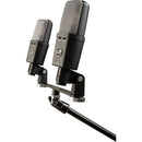 Warm Audio WA14-SP Large-Diaphragm Multipattern Condenser Microphone (Stereo Pair)