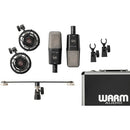 Warm Audio WA14-SP Large-Diaphragm Multipattern Condenser Microphone (Stereo Pair)