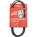 Aguilar AGINST10SS Straight To Straight Connector Instrument Cable - 10ft