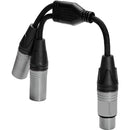Câble répartiteur audio en Y Kondor Blue KB-YFXLRDM-BK double XLR mâle vers XLR femelle - 25 cm (noir corbeau)