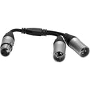 Câble répartiteur audio en Y Kondor Blue KB-YFXLRDM-BK double XLR mâle vers XLR femelle - 25 cm (noir corbeau)
