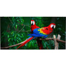 American DJ WMS2 Pixel Pitch LED Video Wall Panel