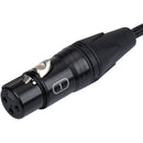 Xvive PXB Three-Channel Snake for PX Personal Monitoring System