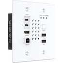 Turtle AV TAV-CHAZYWPUS-TX Chazy 4K Wall Plate Transmitter (2 Gang)