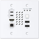 Turtle AV TAV-CHAZYWPUS-TX Chazy 4K Wall Plate Transmitter (2 Gang)
