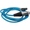 Câble audio Kondor Blue KB-MXLR-5 Mini-XLR mâle vers XLR femelle (bleu) - 1,5 m