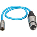 Kondor Blue KB-MXLR-16 Mini-XLR Male to XLR Female Audio Cable (Blue) - 16in