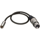 Kondor Blue KB-MXLR-16-BK Mini-XLR Male to XLR Female Audio Cable (Black) - 16in