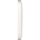Couvercle à clipser peignable Shure A-MXWAPX-CVR pour MXWAPX