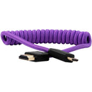 Kondor Blue KB-MN-FHDMI-12-P Gerald Undone Braided Coiled High-Speed Mini-HDMI To HDMI Cable (Limited Purple Edition) - 12in To 24in